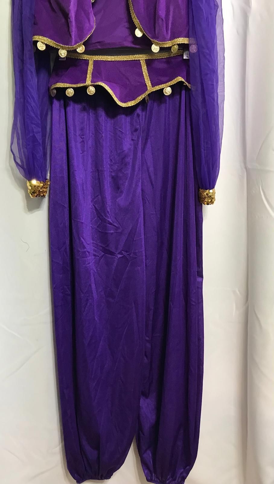 Costume Purple Gypsy with Pants and Gold Trim Ladies M
