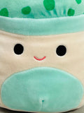 Squishmallows 8" Sydney Teal Green Mushroom Freshly Laundered