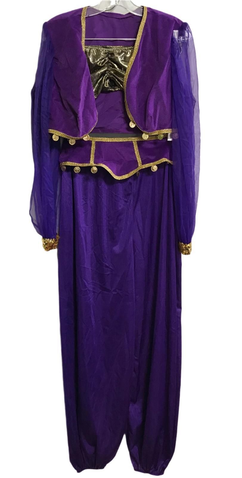Costume Purple Gypsy with Pants and Gold Trim Ladies M